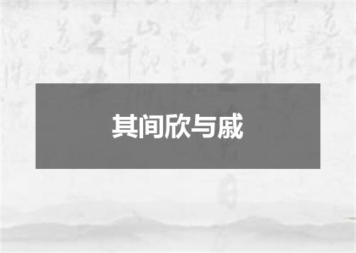 其间欣与戚