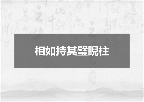相如持其璧睨柱