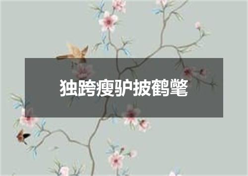独跨瘦驴披鹤氅