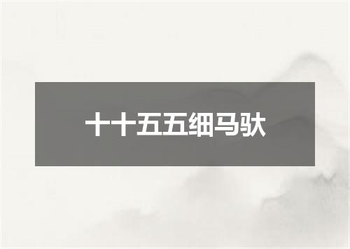 十十五五细马驮