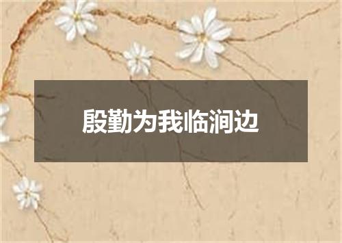 殷勤为我临涧边