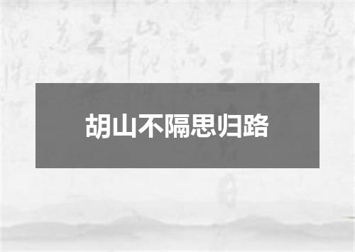 胡山不隔思归路