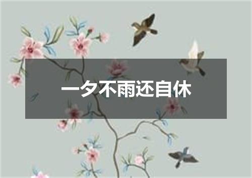 一夕不雨还自休