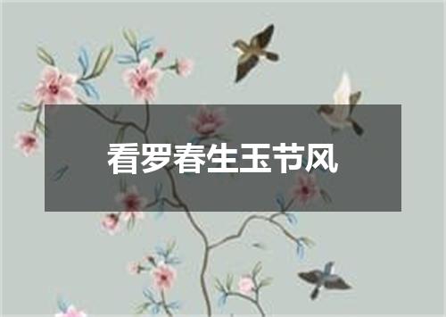 看罗春生玉节风