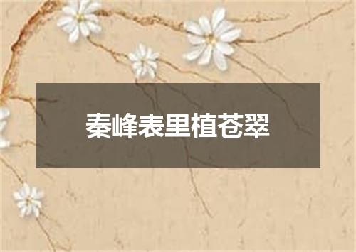 秦峰表里植苍翠