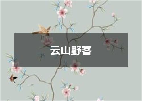 云山野客