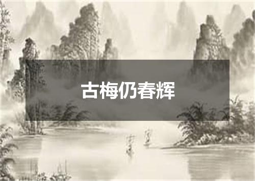 古梅仍春辉