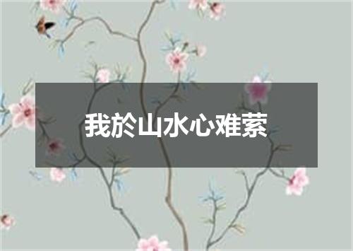 我於山水心难萦