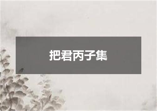 把君丙子集