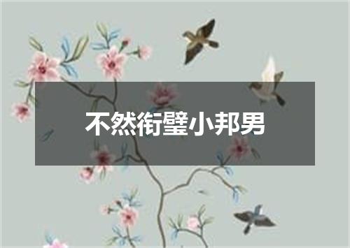 不然衔璧小邦男