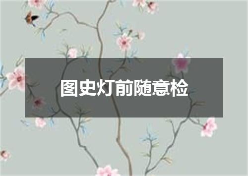 图史灯前随意检