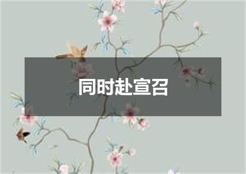 同时赴宣召