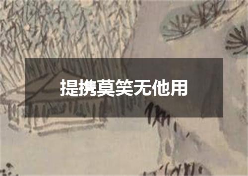 提携莫笑无他用