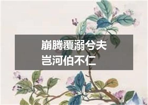 崩腾覆溺兮夫岂河伯不仁