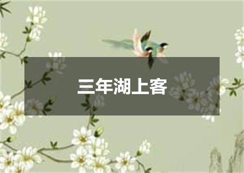 三年湖上客