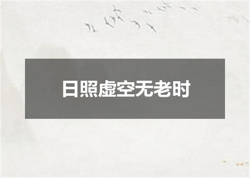 日照虚空无老时