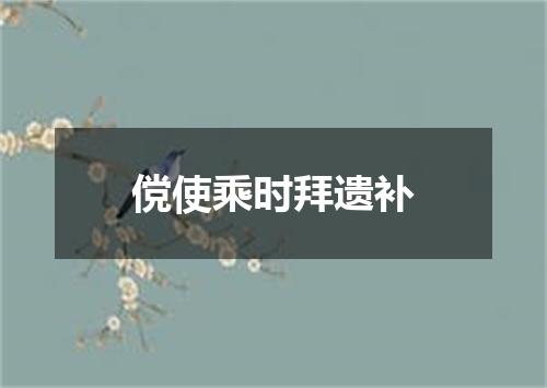 傥使乘时拜遗补