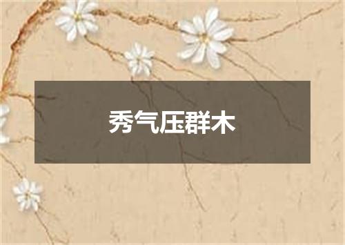 秀气压群木