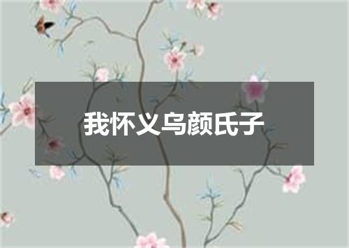 我怀义乌颜氏子
