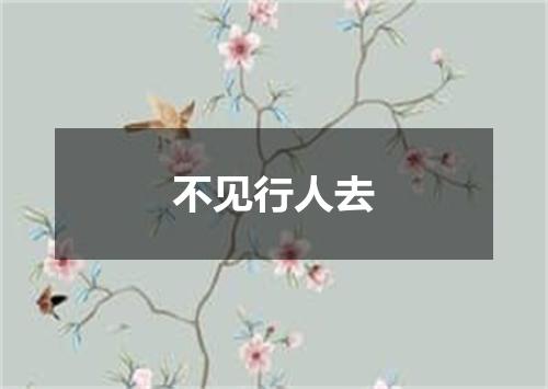 不见行人去