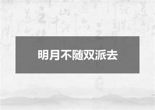 明月不随双派去