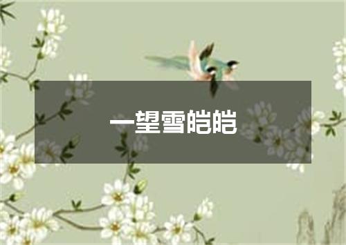 一望雪皑皑