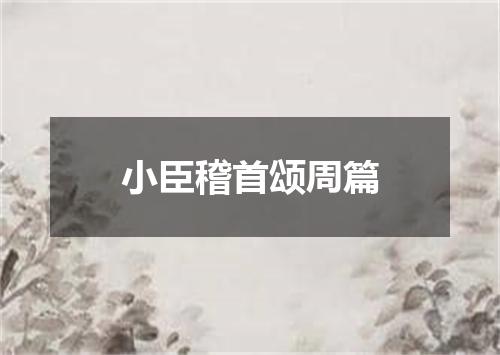 小臣稽首颂周篇