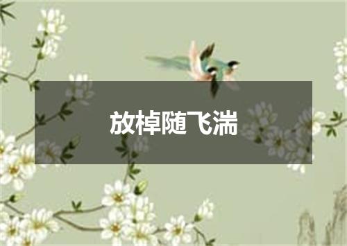 放棹随飞湍