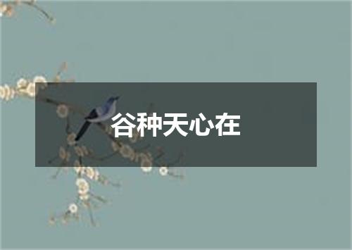 谷种天心在