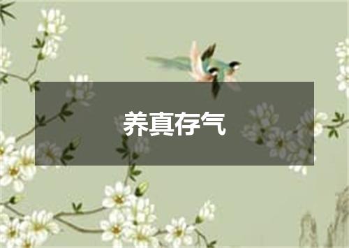 养真存气