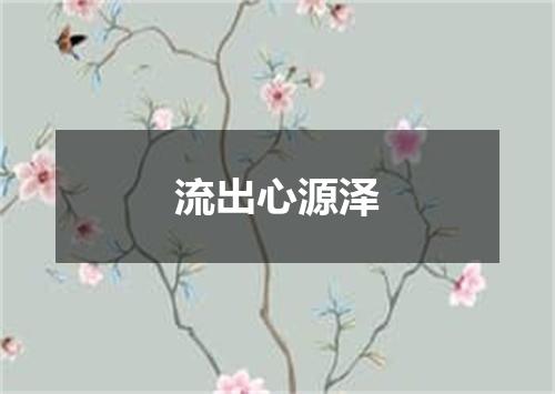 流出心源泽