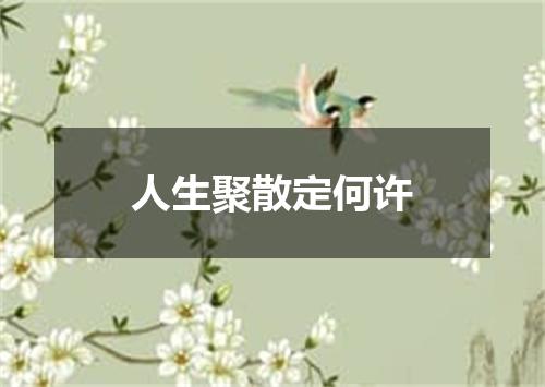 人生聚散定何许