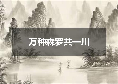万种森罗共一川