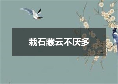 栽石藏云不厌多