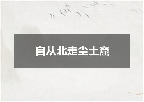自从北走尘土窟