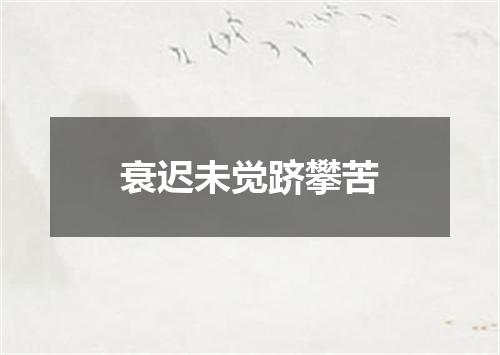 衰迟未觉跻攀苦
