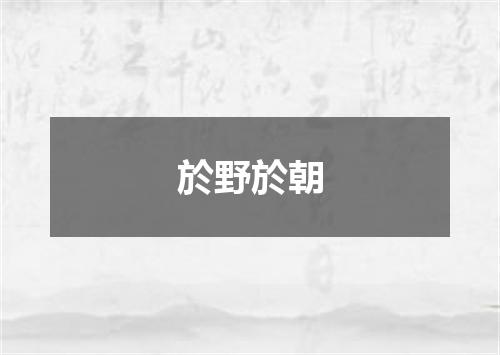 於野於朝