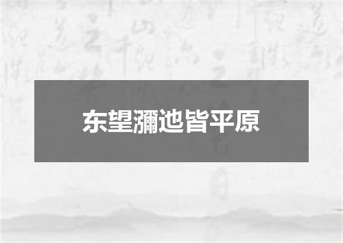 东望瀰迆皆平原