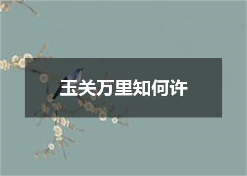 玉关万里知何许