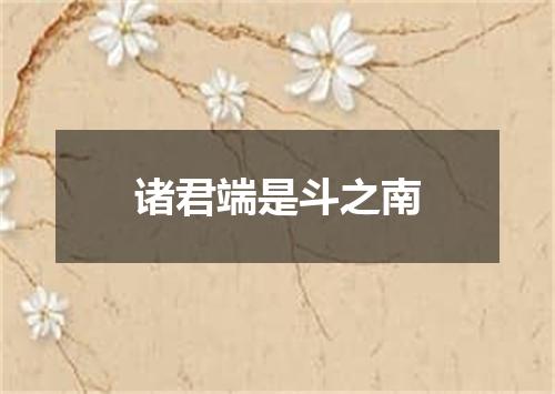 诸君端是斗之南