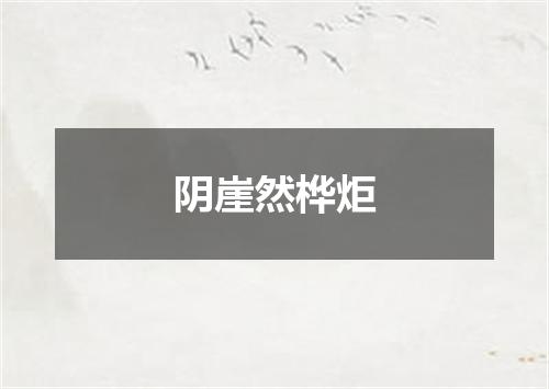 阴崖然桦炬