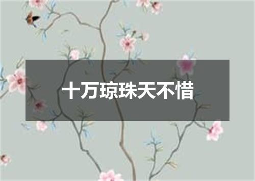 十万琼珠天不惜