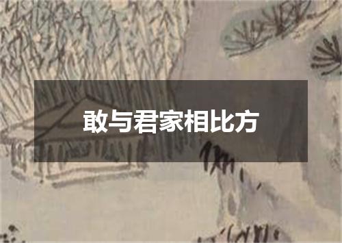敢与君家相比方