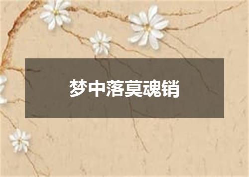 梦中落莫魂销