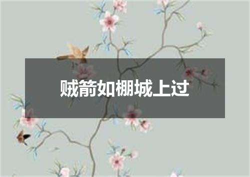 贼箭如棚城上过