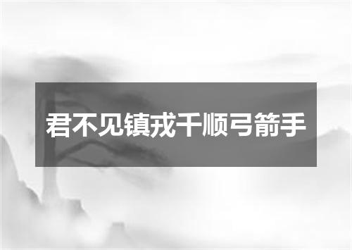 君不见镇戎千顺弓箭手