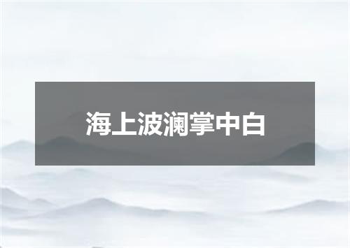 海上波澜掌中白