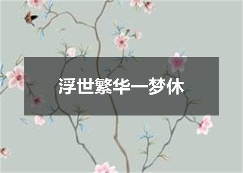 浮世繁华一梦休
