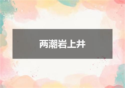 两潮岩上井