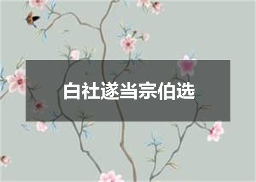 白社遂当宗伯选